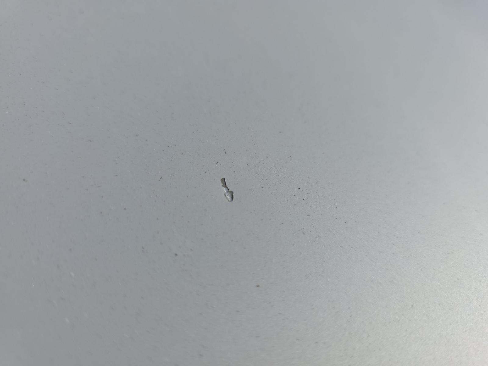 2024 BMW X5 xDrive40i AWD