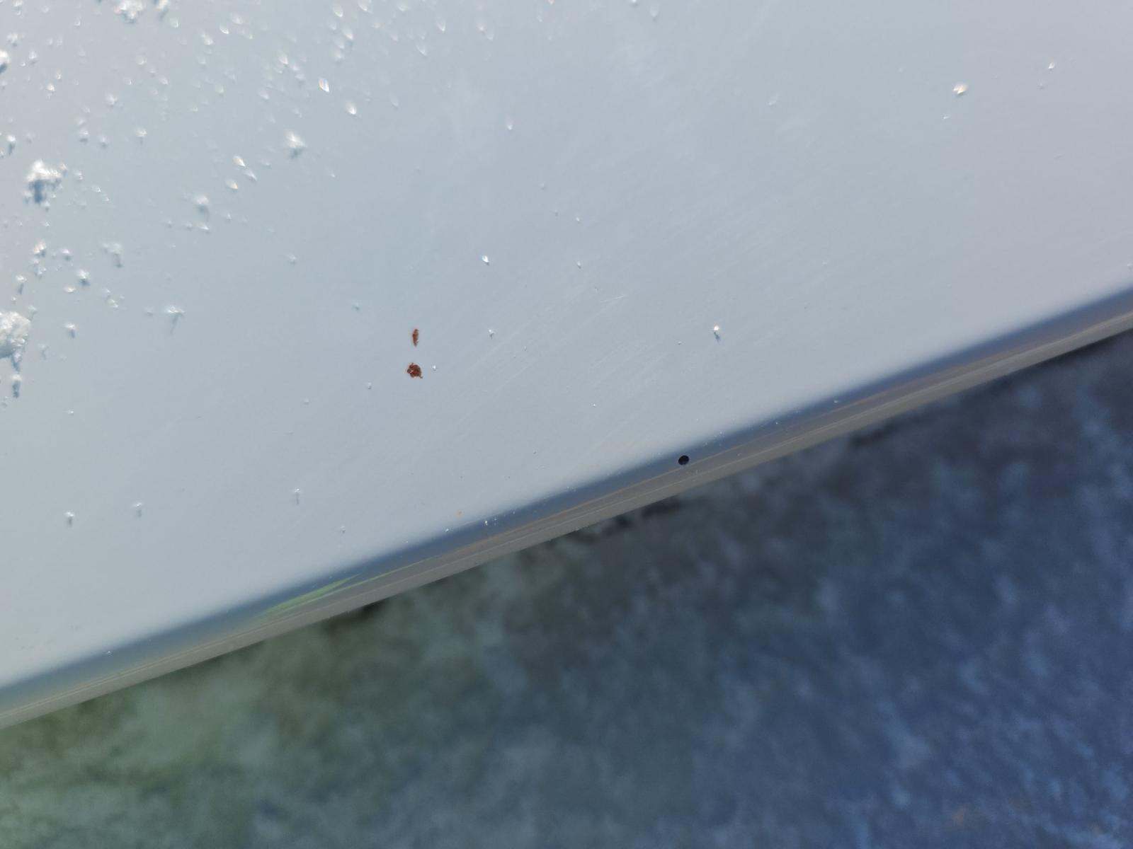 2022 Subaru WRX Premium AWD