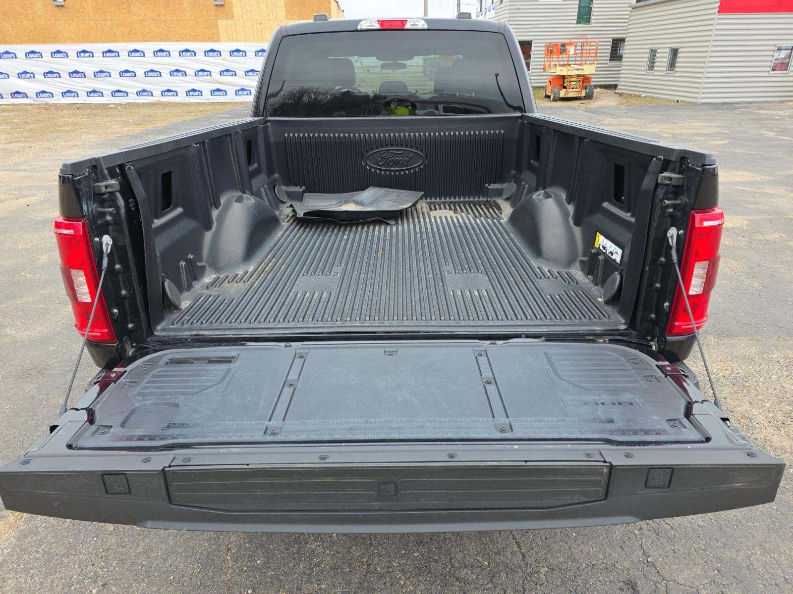 FORD F-150 - 10