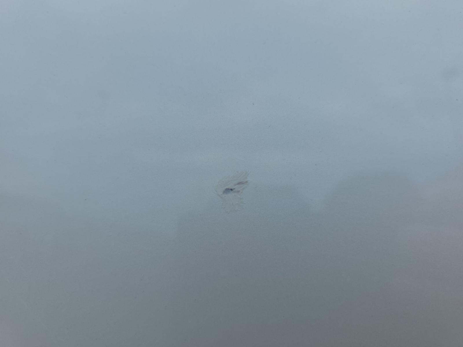 2022 BMW X5 xDrive40i AWD