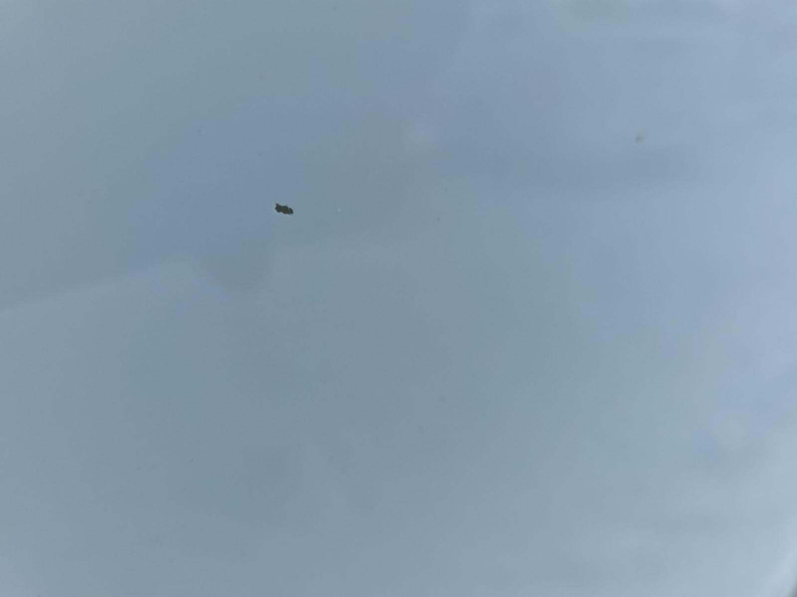 2017 Chevrolet Silverado 2500HD Work Truck AWD