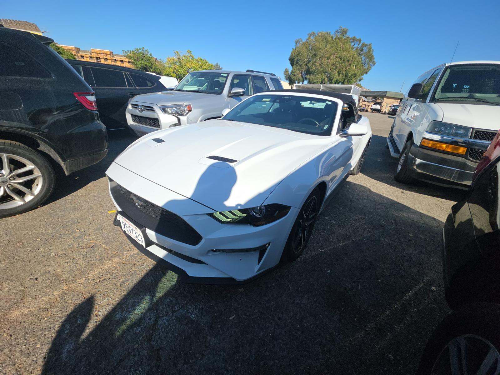 2023 Ford Mustang EcoBoost Premium RWD