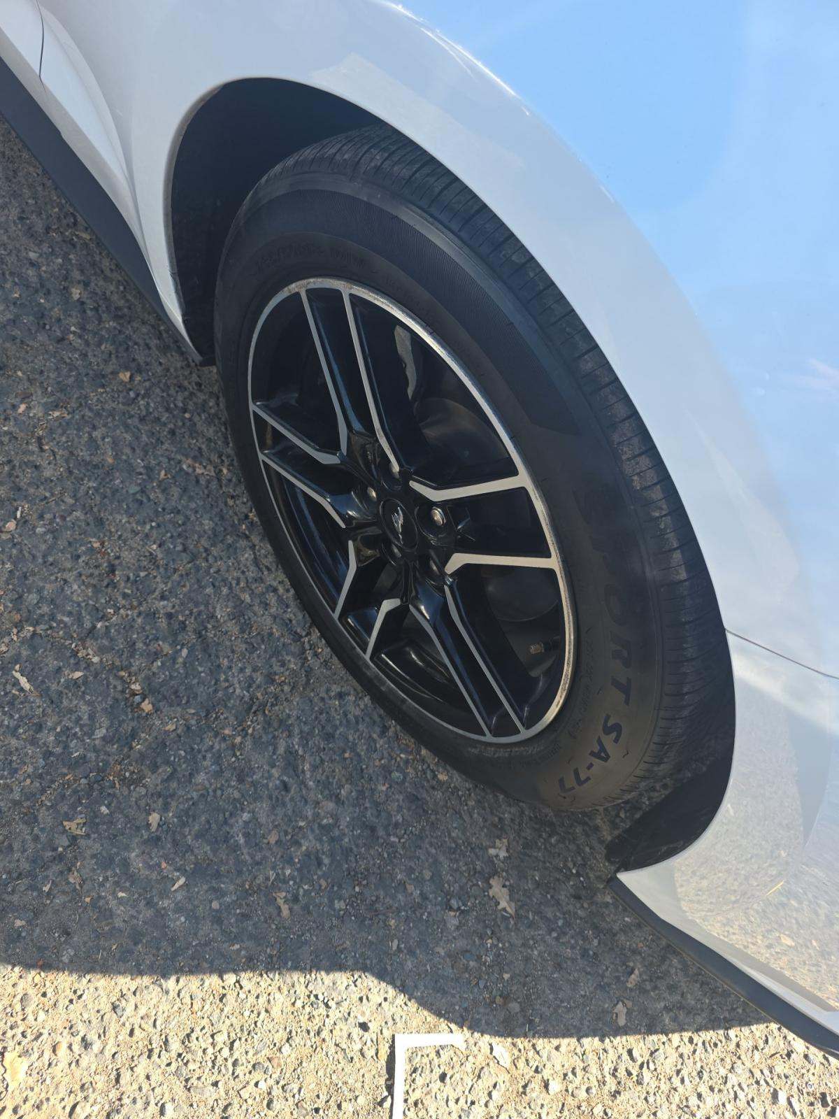 2023 Ford Mustang EcoBoost Premium RWD