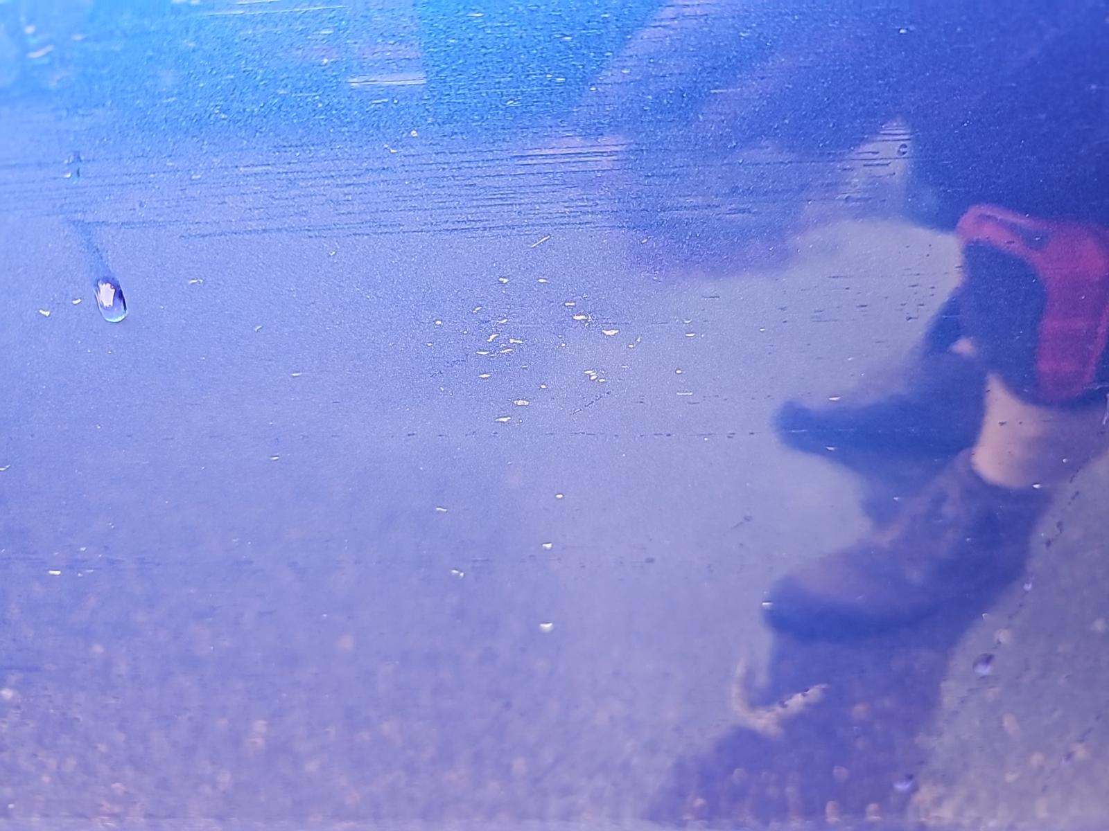 2016 Audi S3 Premium Plus AWD