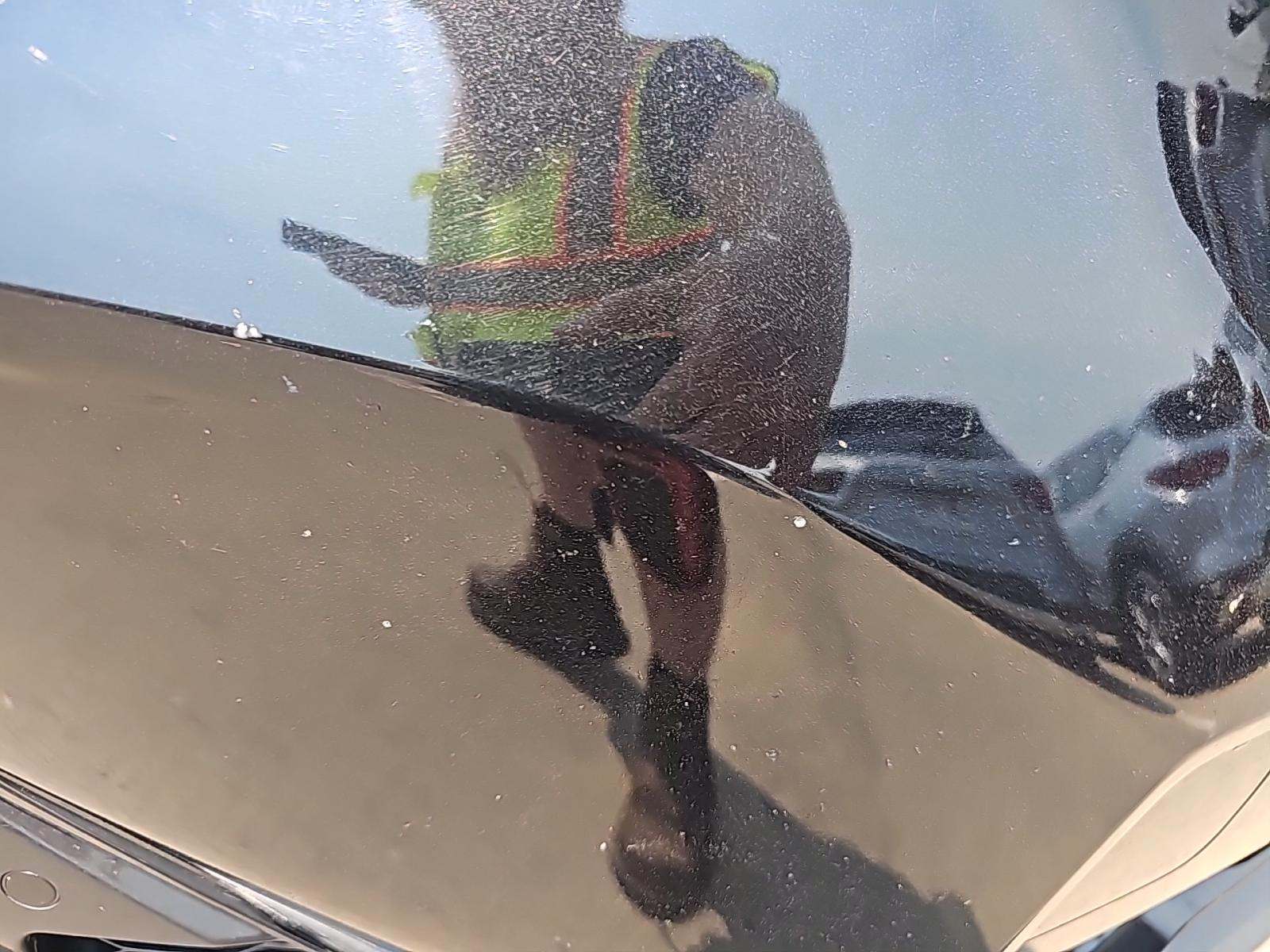 2024 BMW X1 xDrive28i AWD