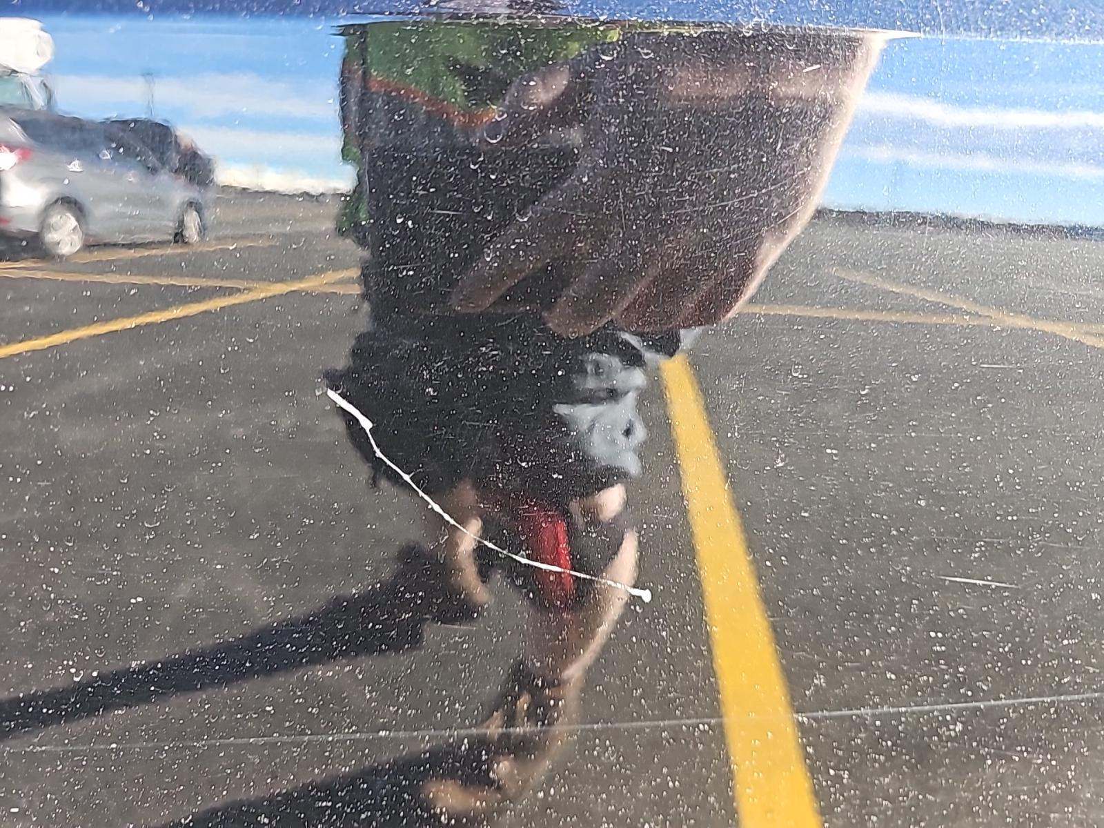 2025 BMW X7 xDrive40i AWD