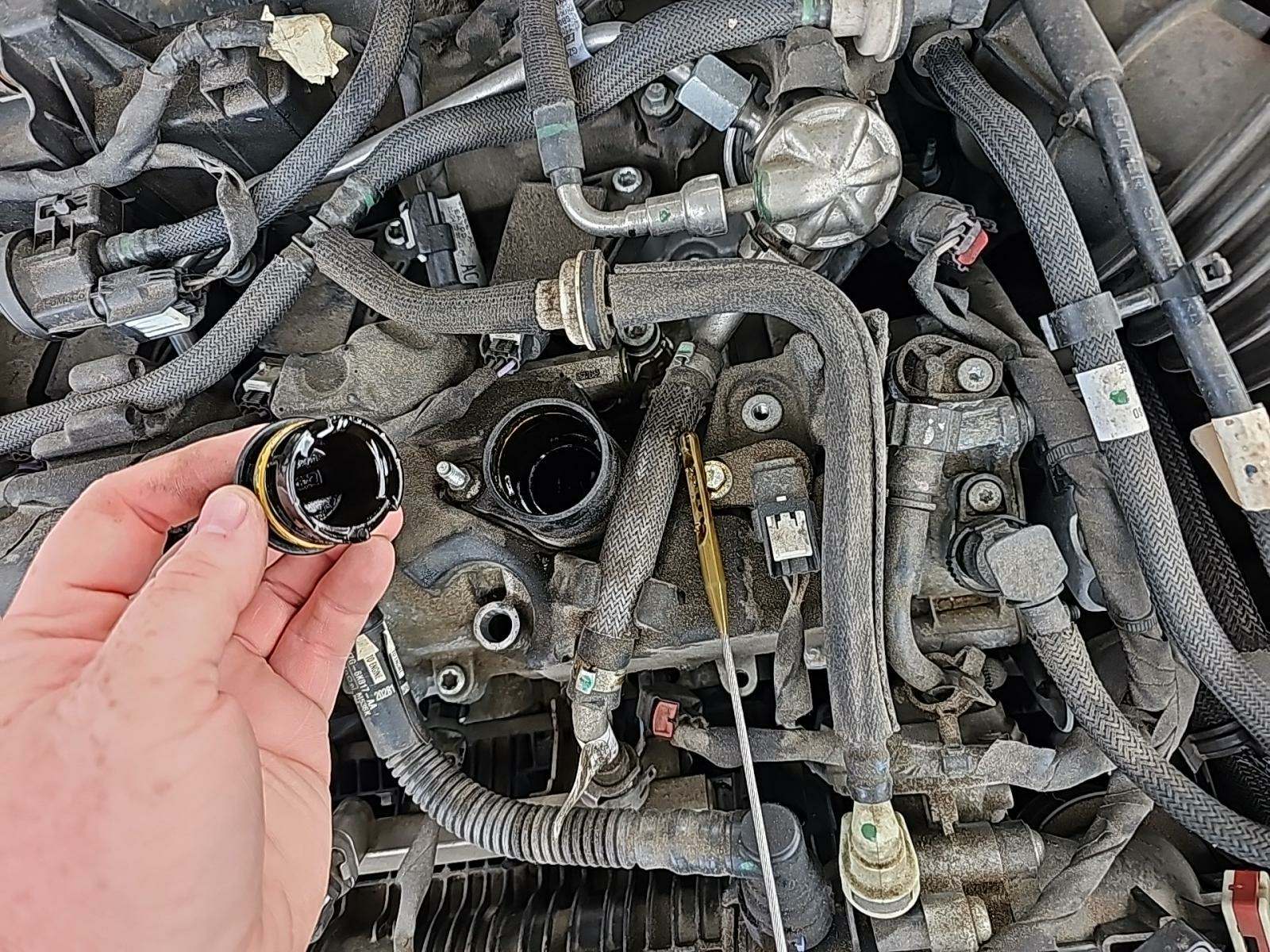 2022 Ford Escape SEL AWD