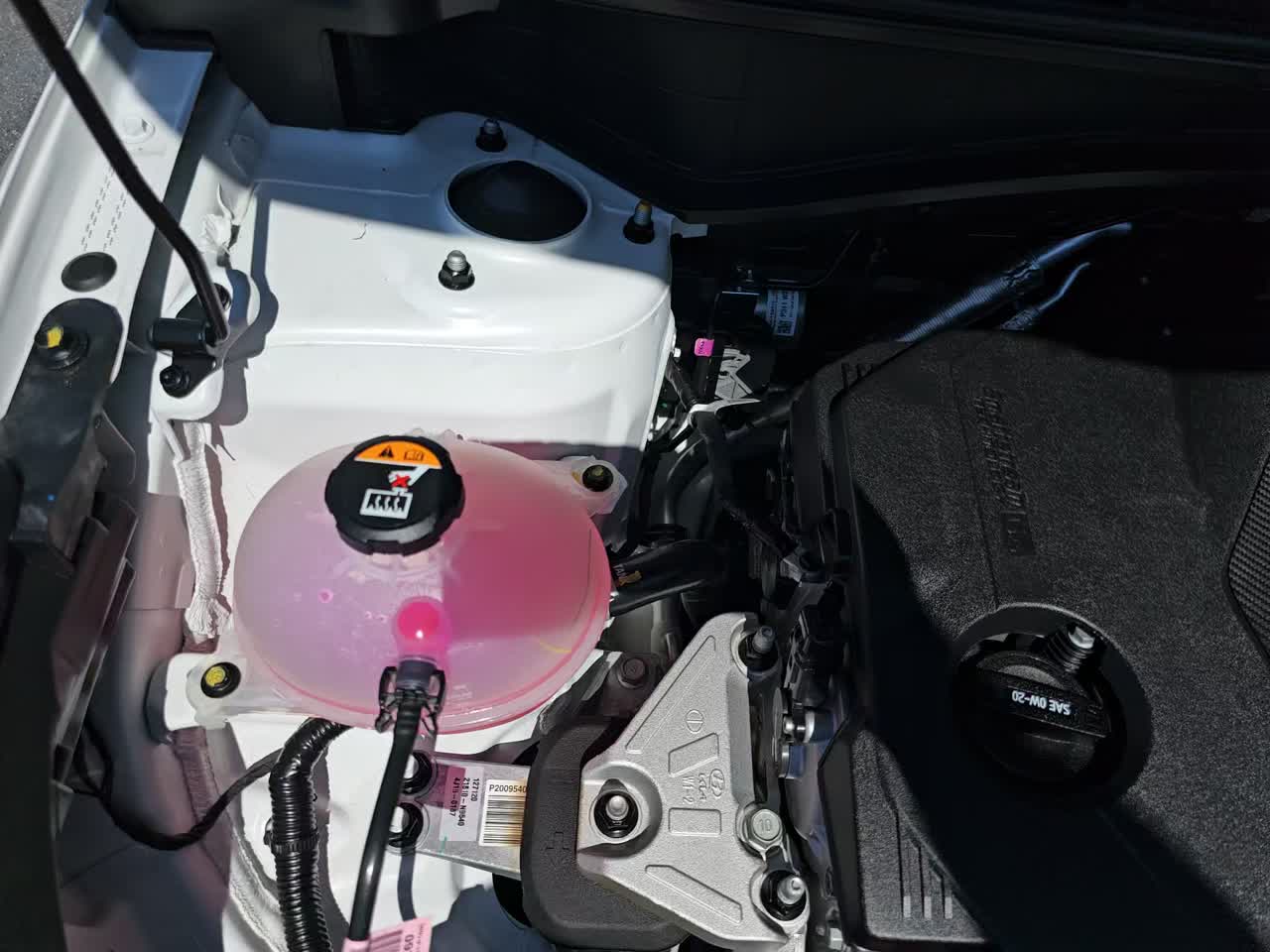 2025 Kia Sportage EX FWD