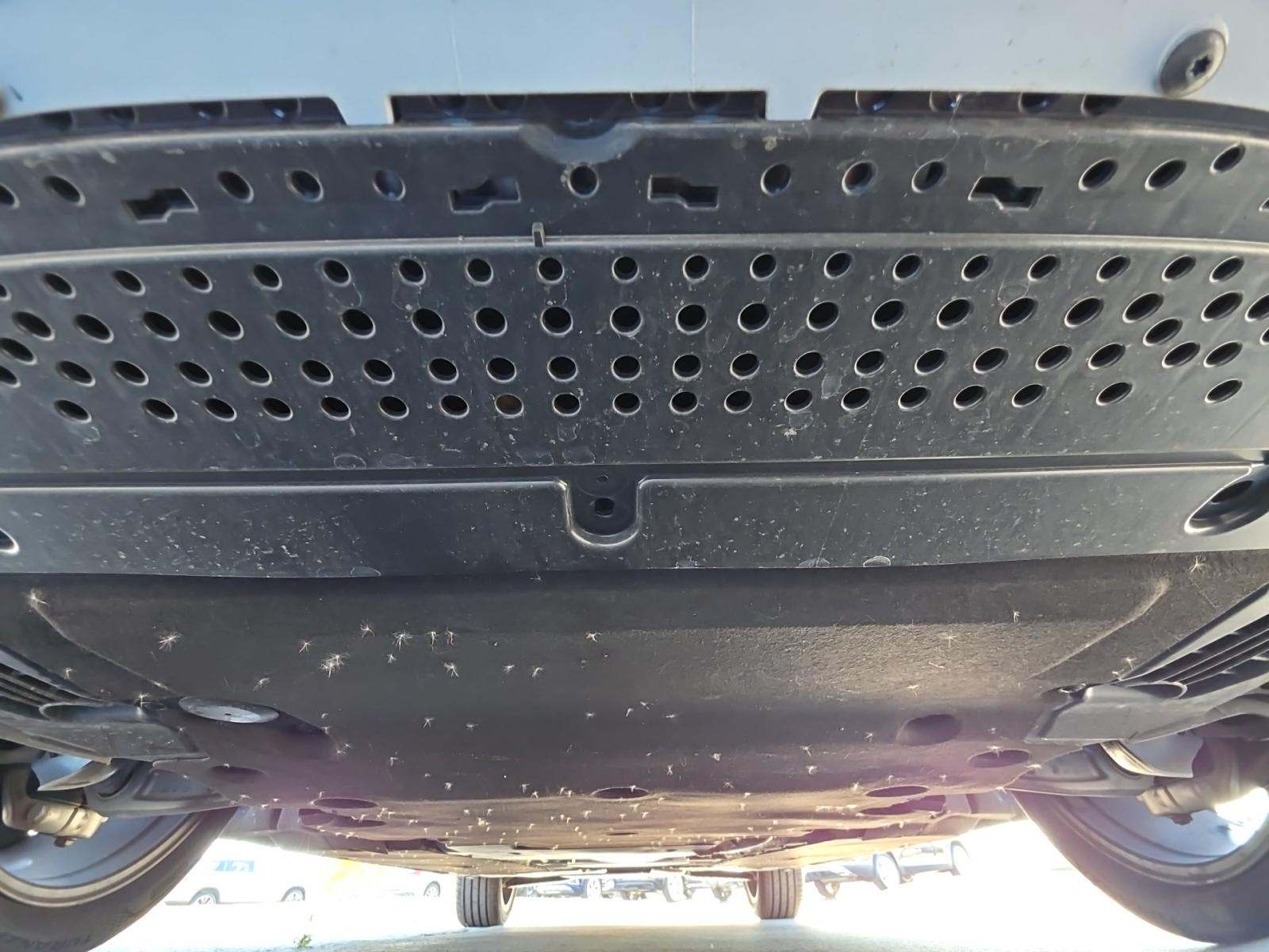 2025 Audi A5 Premium Plus AWD