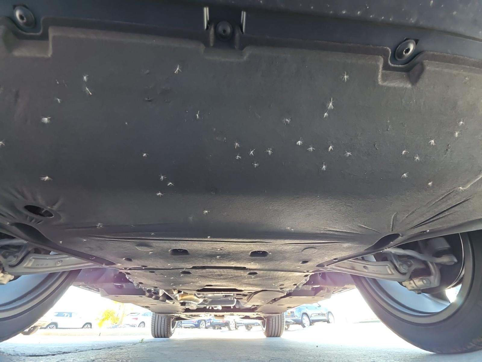 2025 Audi Q7 Premium Plus AWD