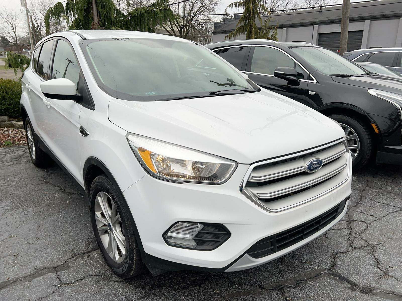 2019 Ford Escape SE AWD