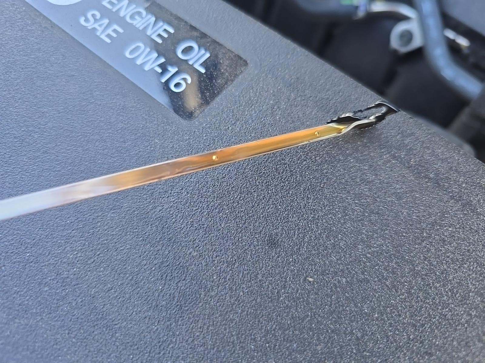 2024 Toyota Sienna LE FWD