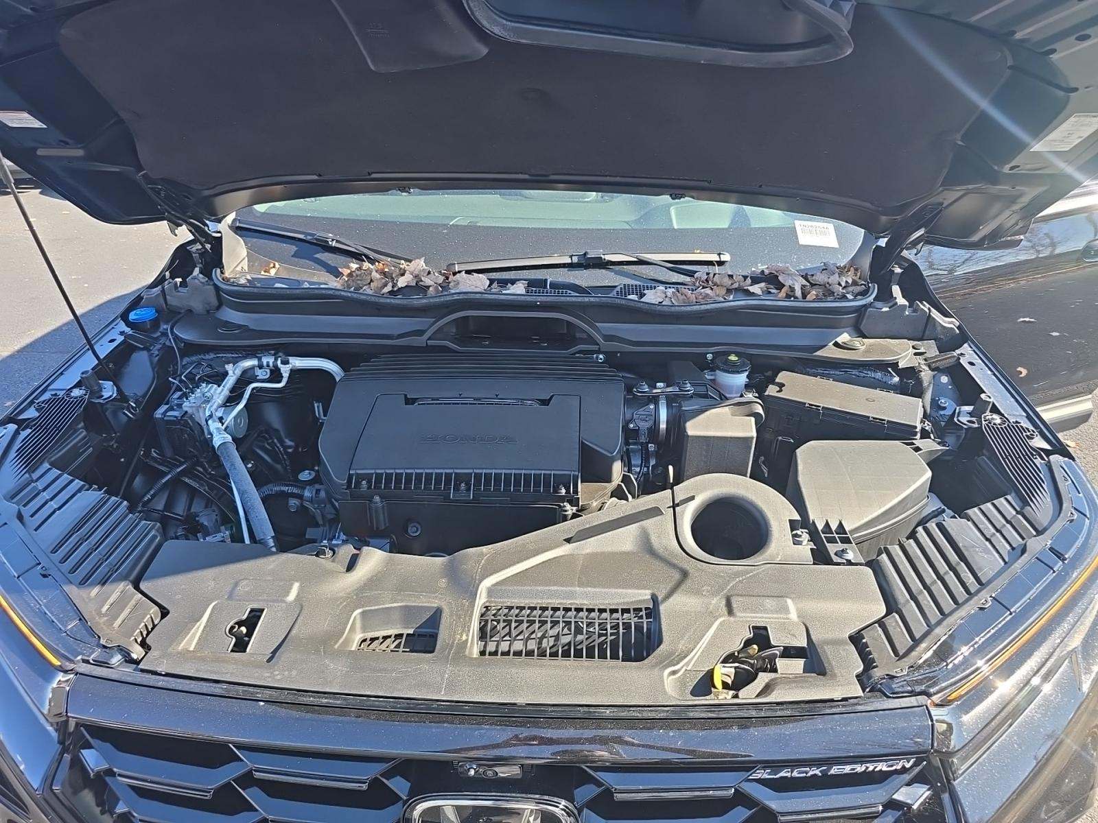 2025 Honda Pilot Black Edition AWD