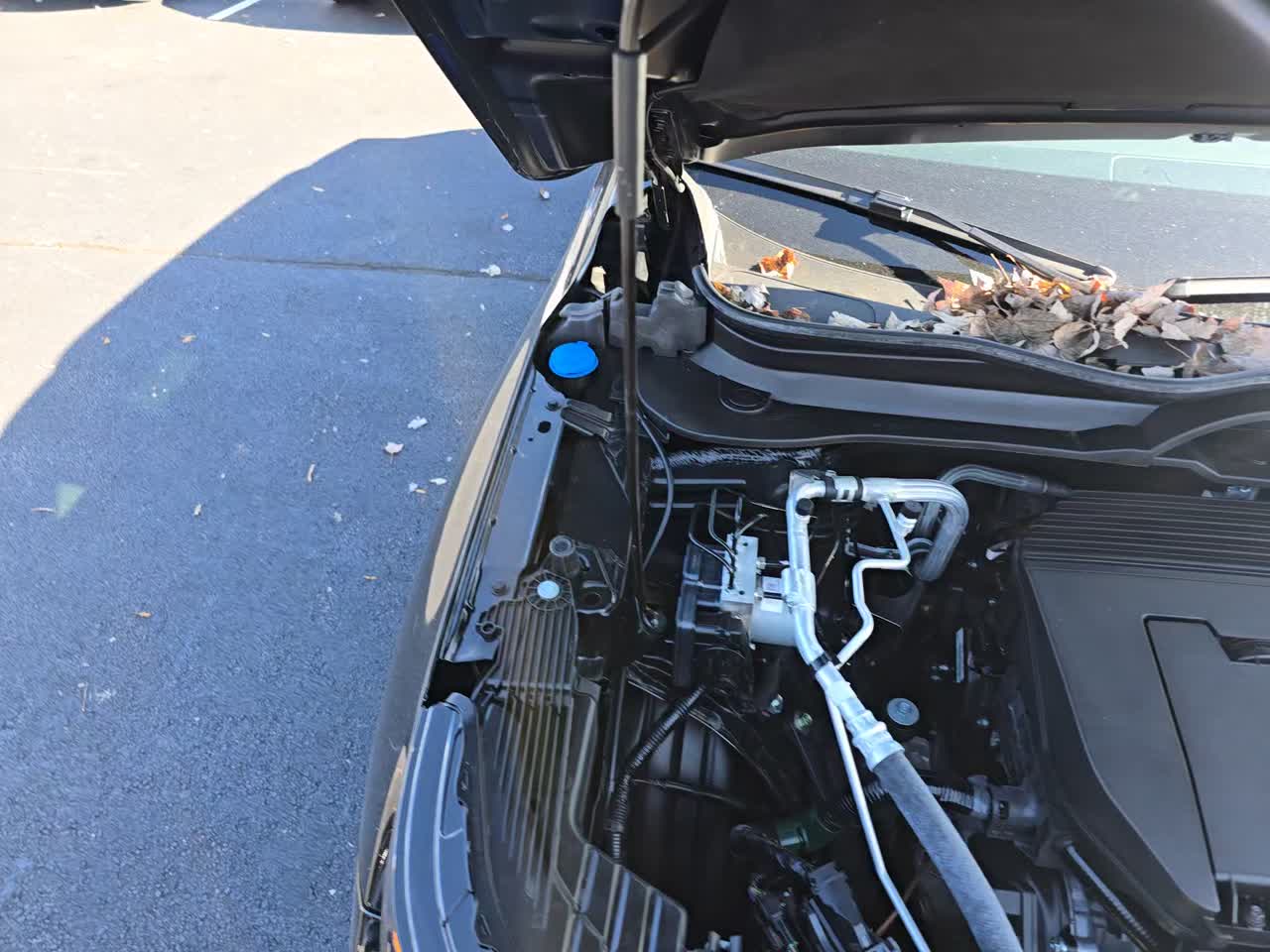 2025 Honda Pilot Black Edition AWD