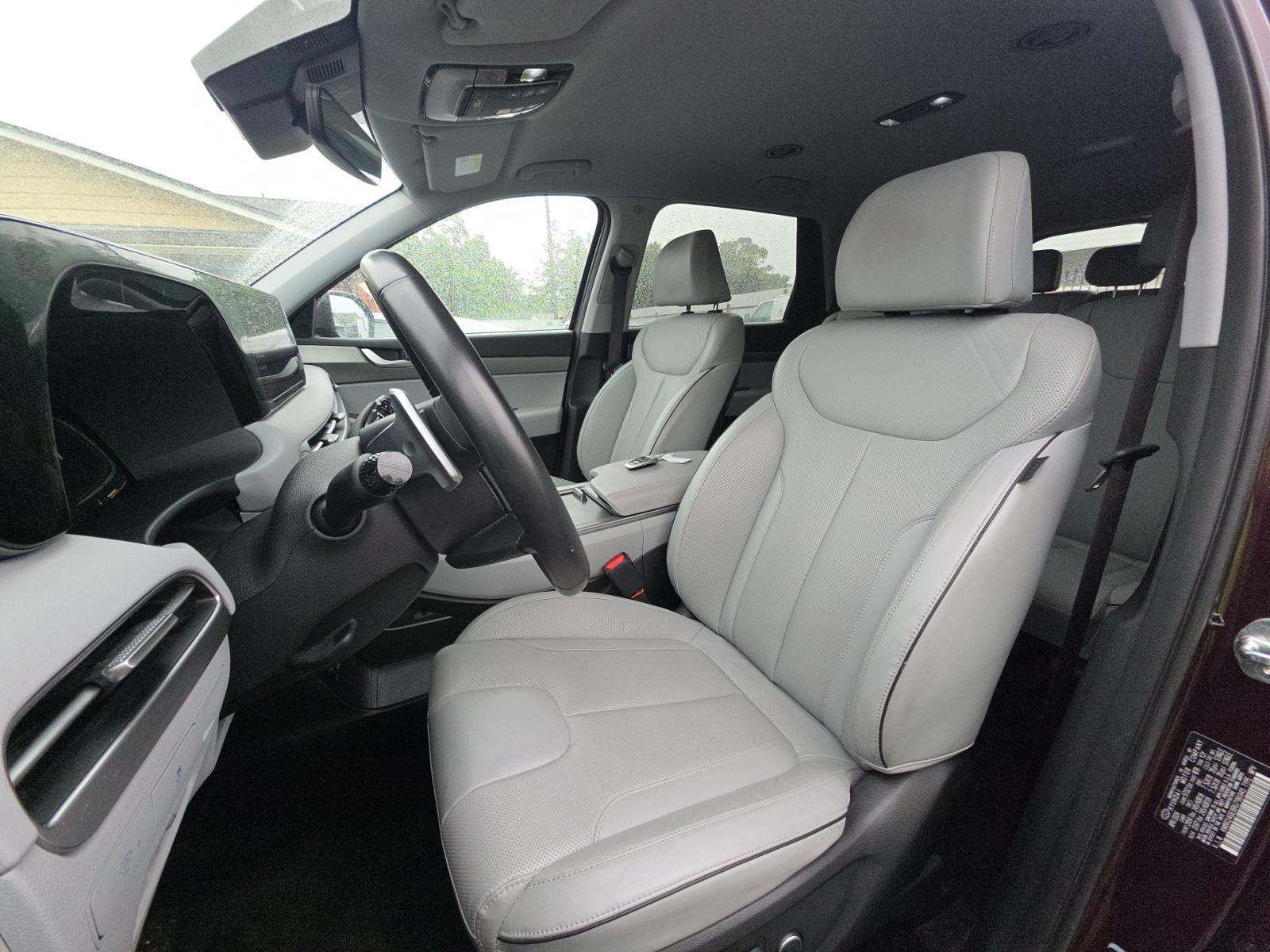HYUNDAI PALISADE - 6