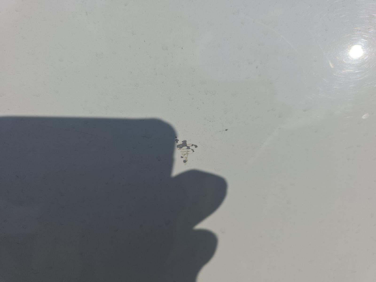 2021 Chevrolet Silverado 1500 Work Truck RWD