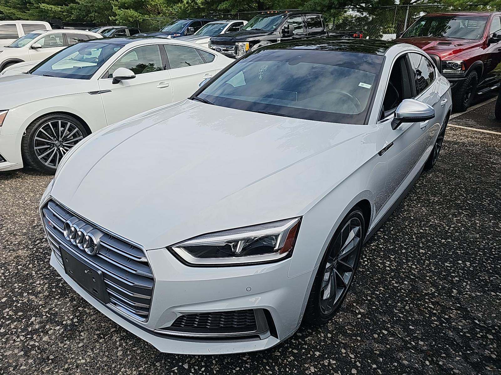 2019 Audi S5 Sportback Premium Plus Hatchback