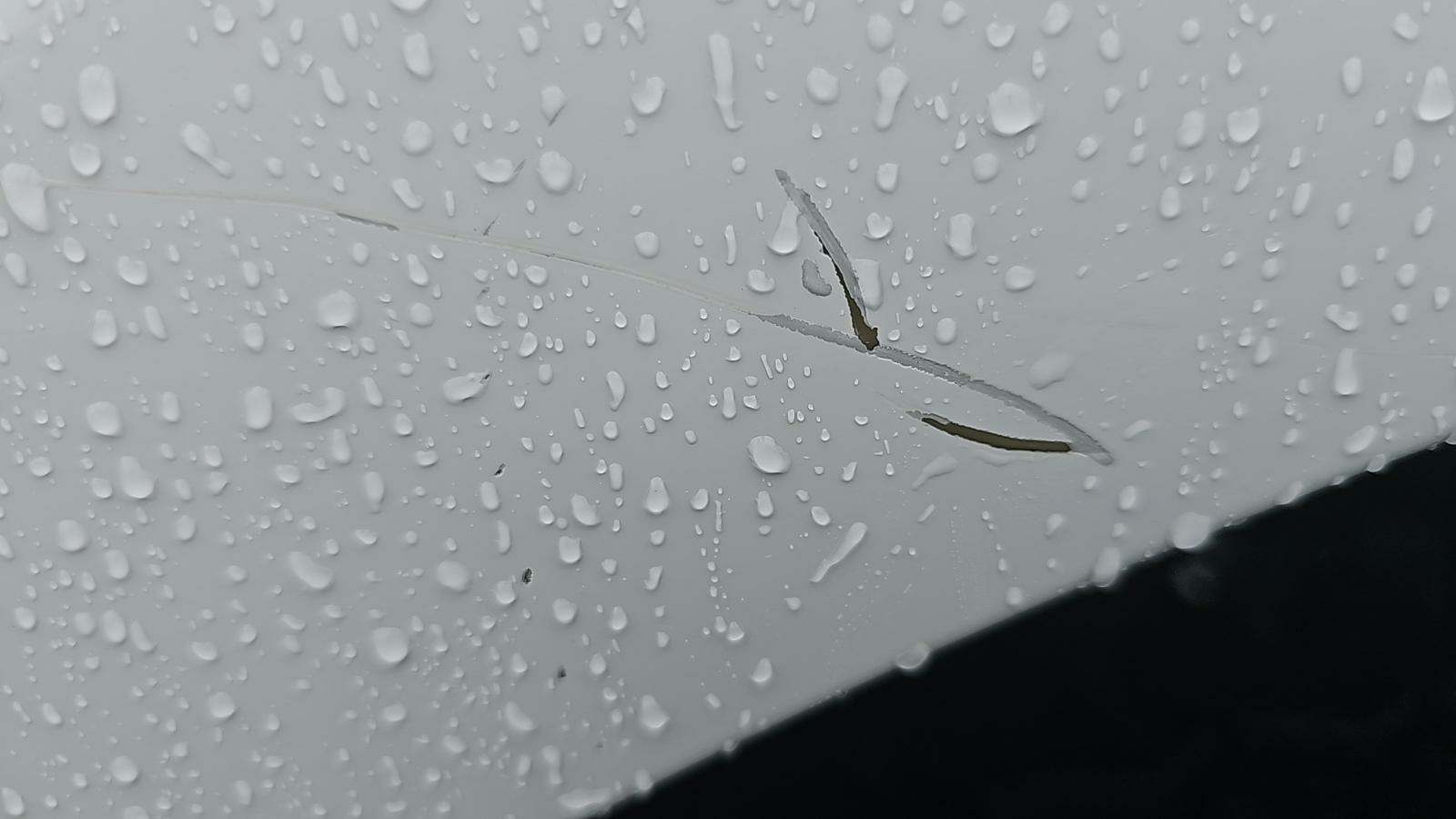 2021 Ford F-150 XLT AWD