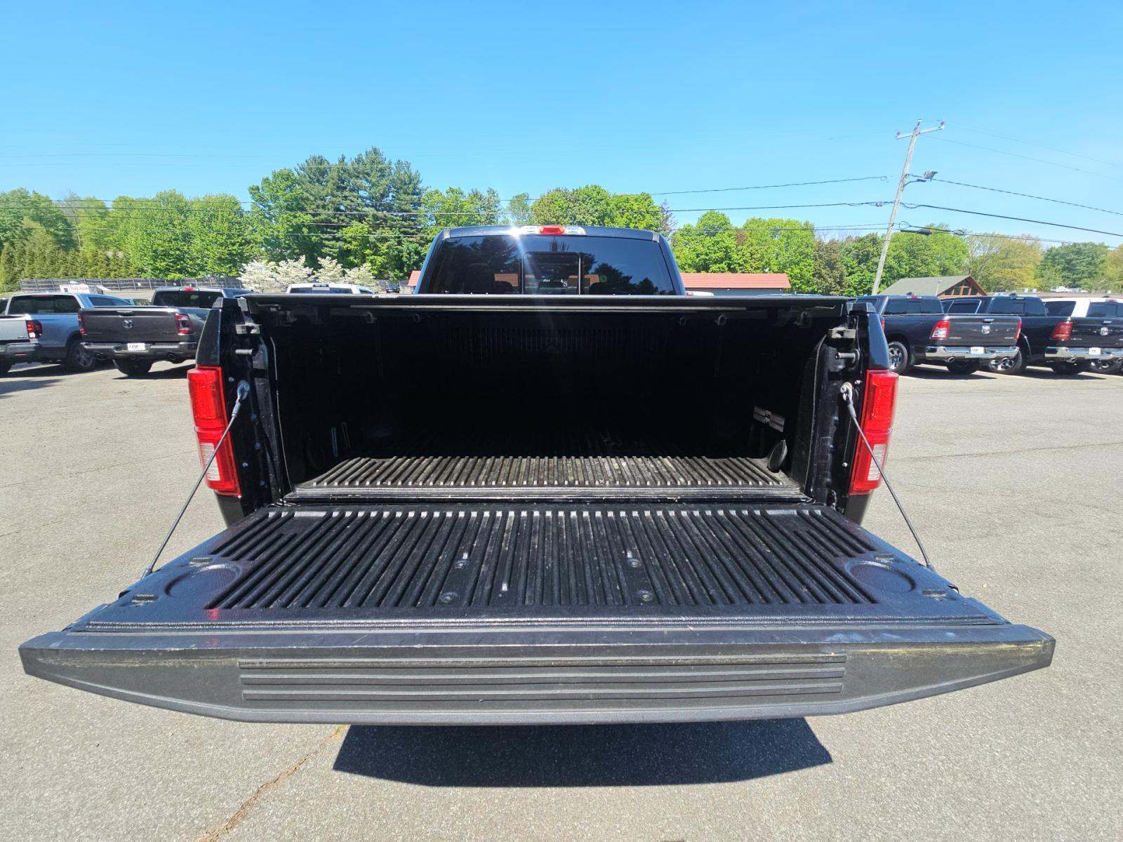 FORD F-150 - 10