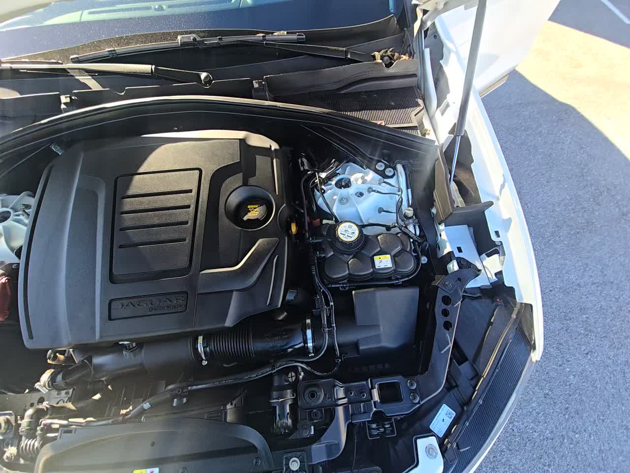2024 Jaguar F-PACE P250 R-Dynamic S AWD