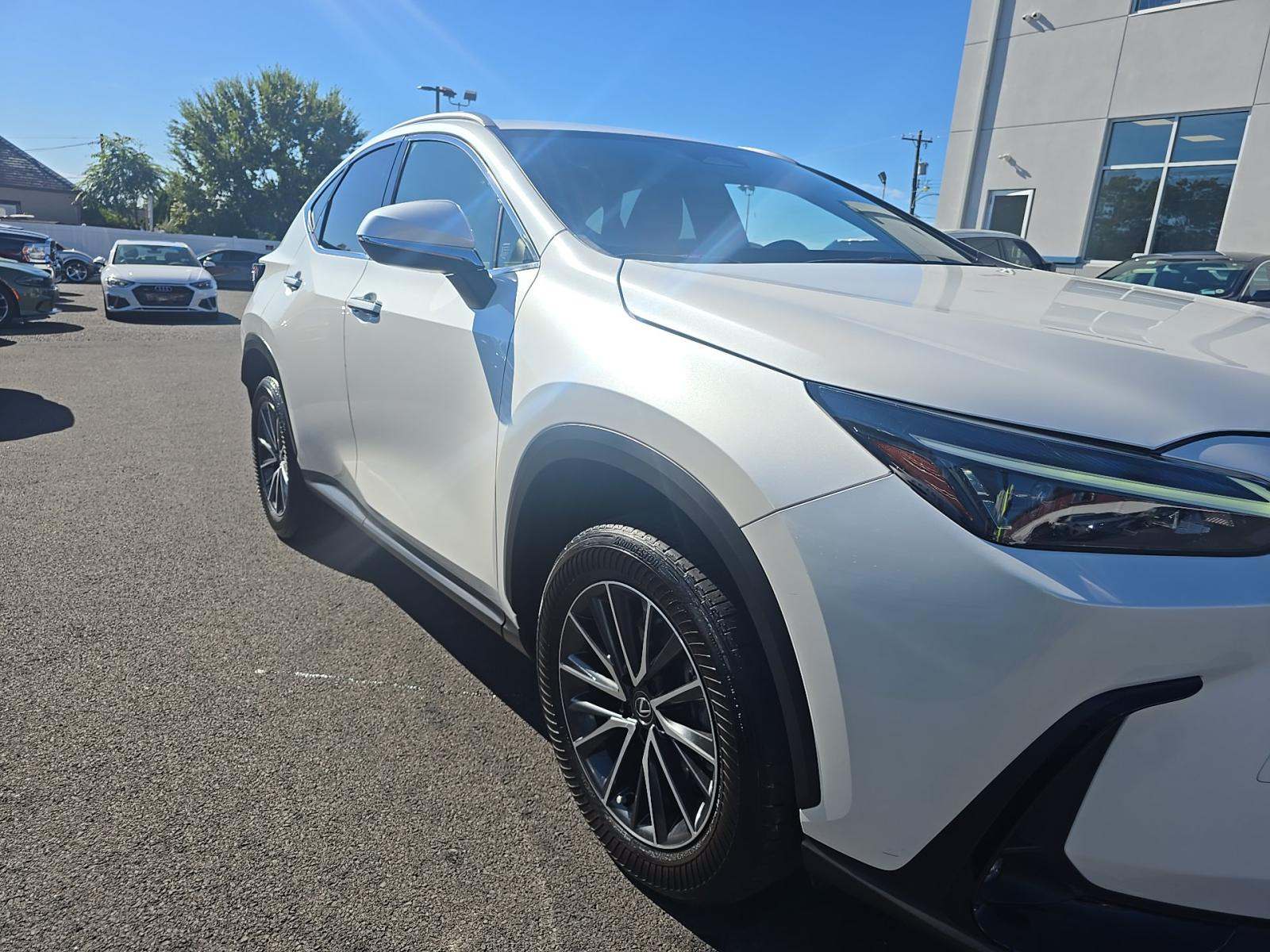 2024 Lexus NX NX 250 FWD