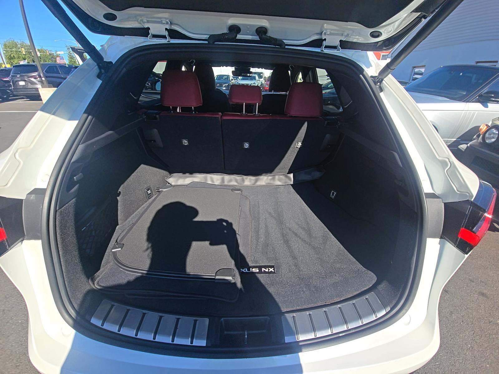 2024 Lexus NX NX 250 FWD