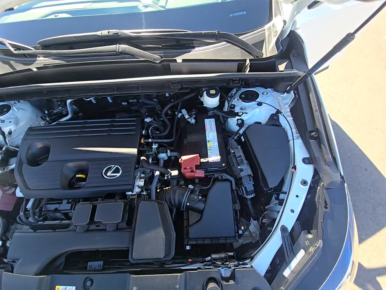 2024 Lexus NX NX 250 FWD