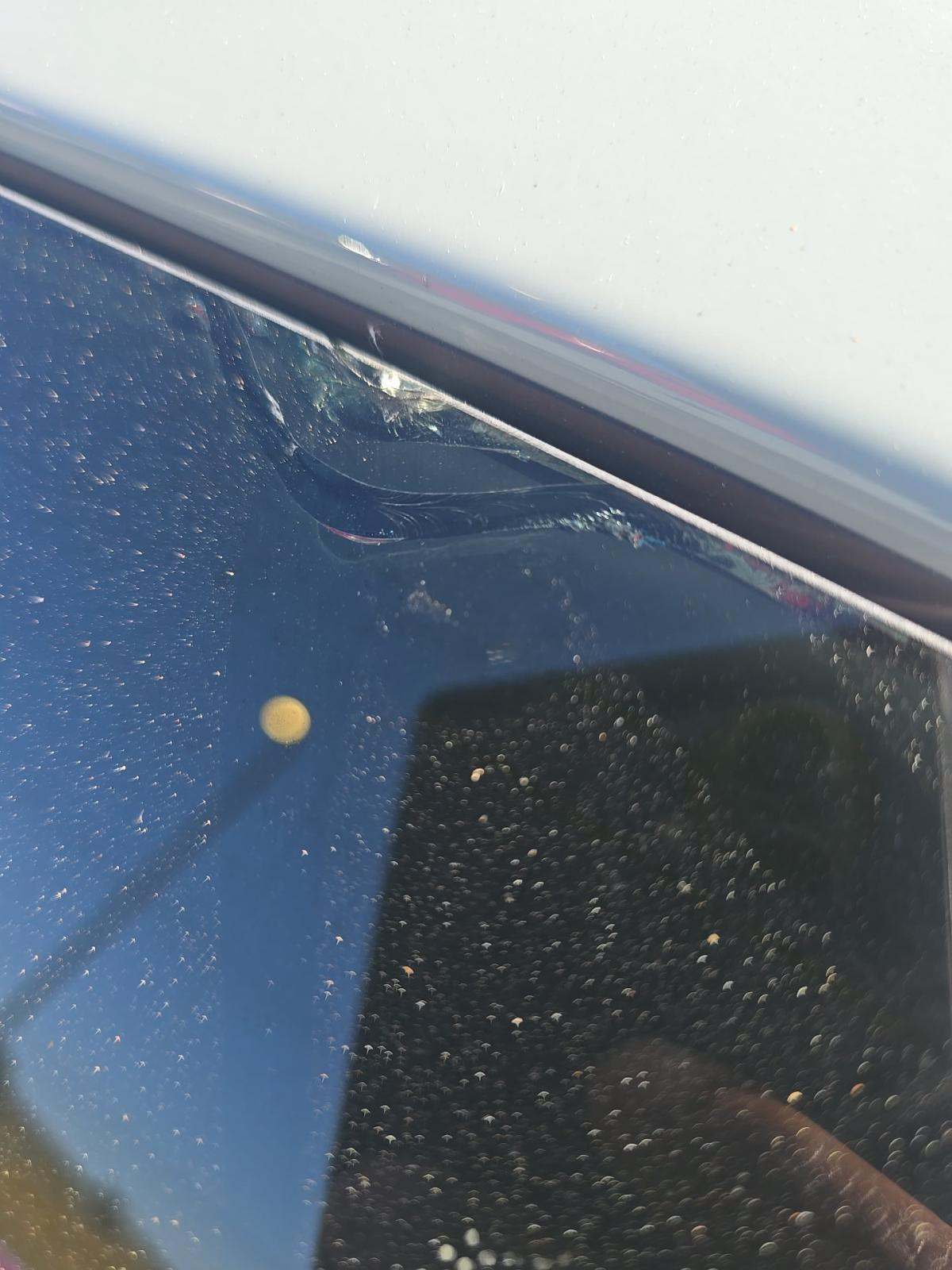 2024 Jeep Wrangler 4xe Willys AWD