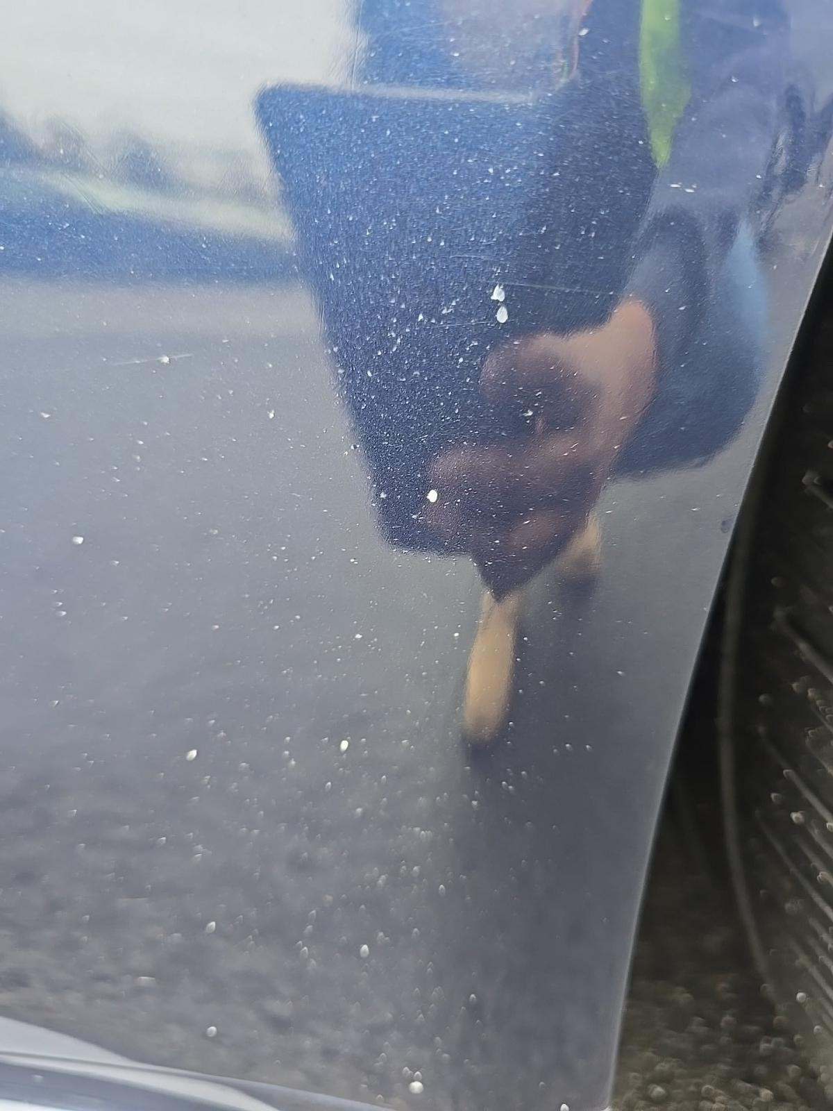 2019 Porsche Panamera GTS AWD