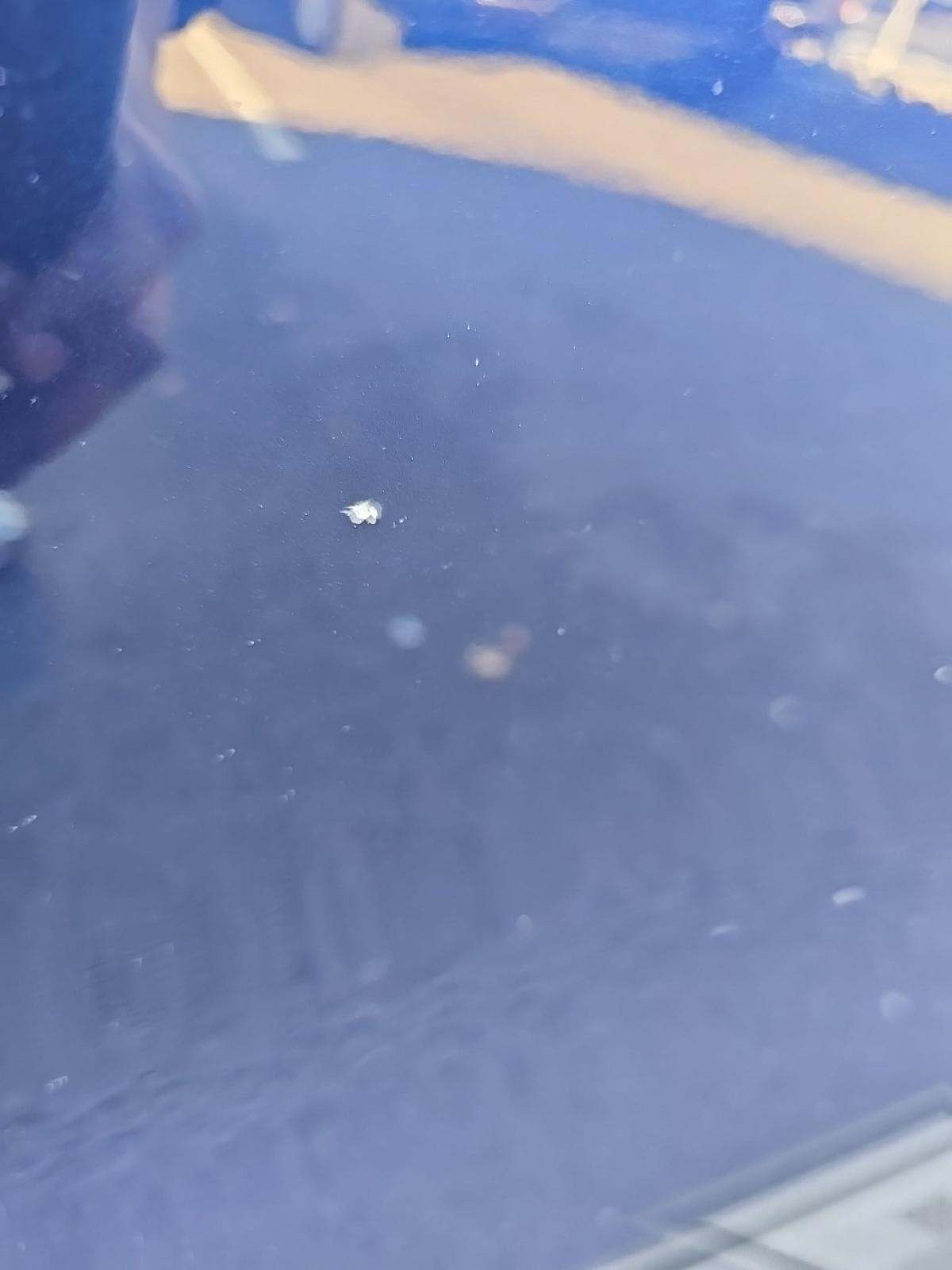 2023 BMW 4 Series 430i xDrive AWD