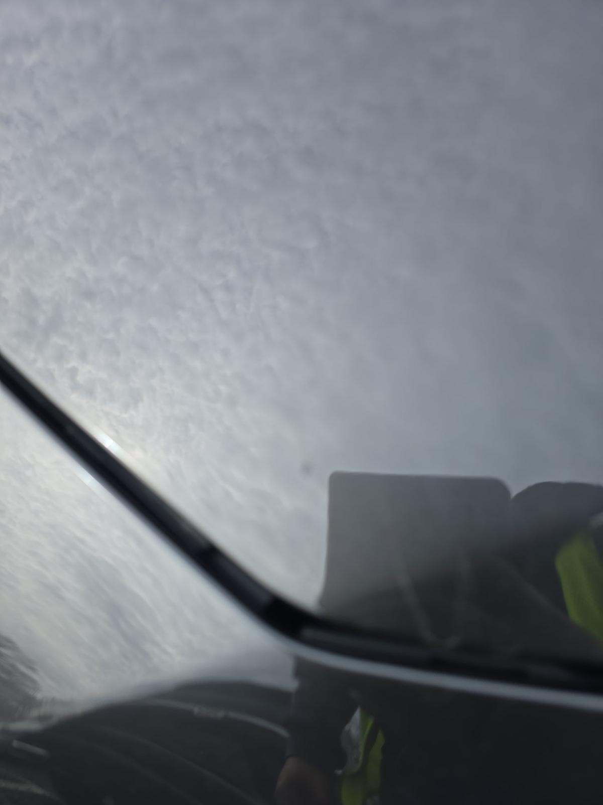 2019 Mercedes-Benz CLS CLS 450 AWD