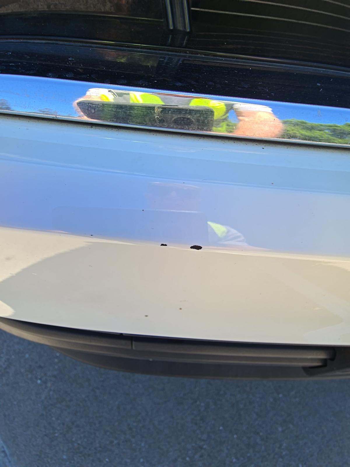 2024 Volkswagen Tiguan 2.0T SE AWD