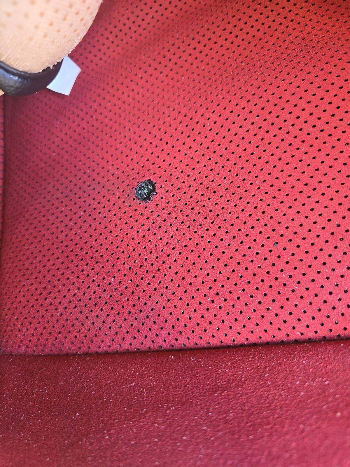 2018 Dodge Challenger SXT Plus RWD