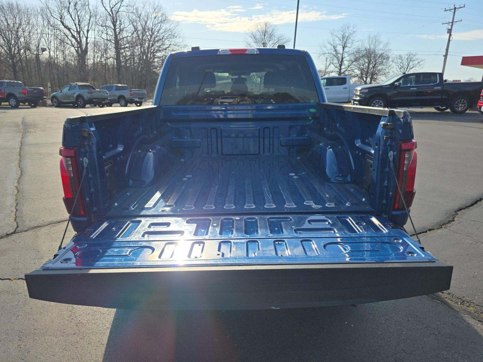 FORD F-150 - 10