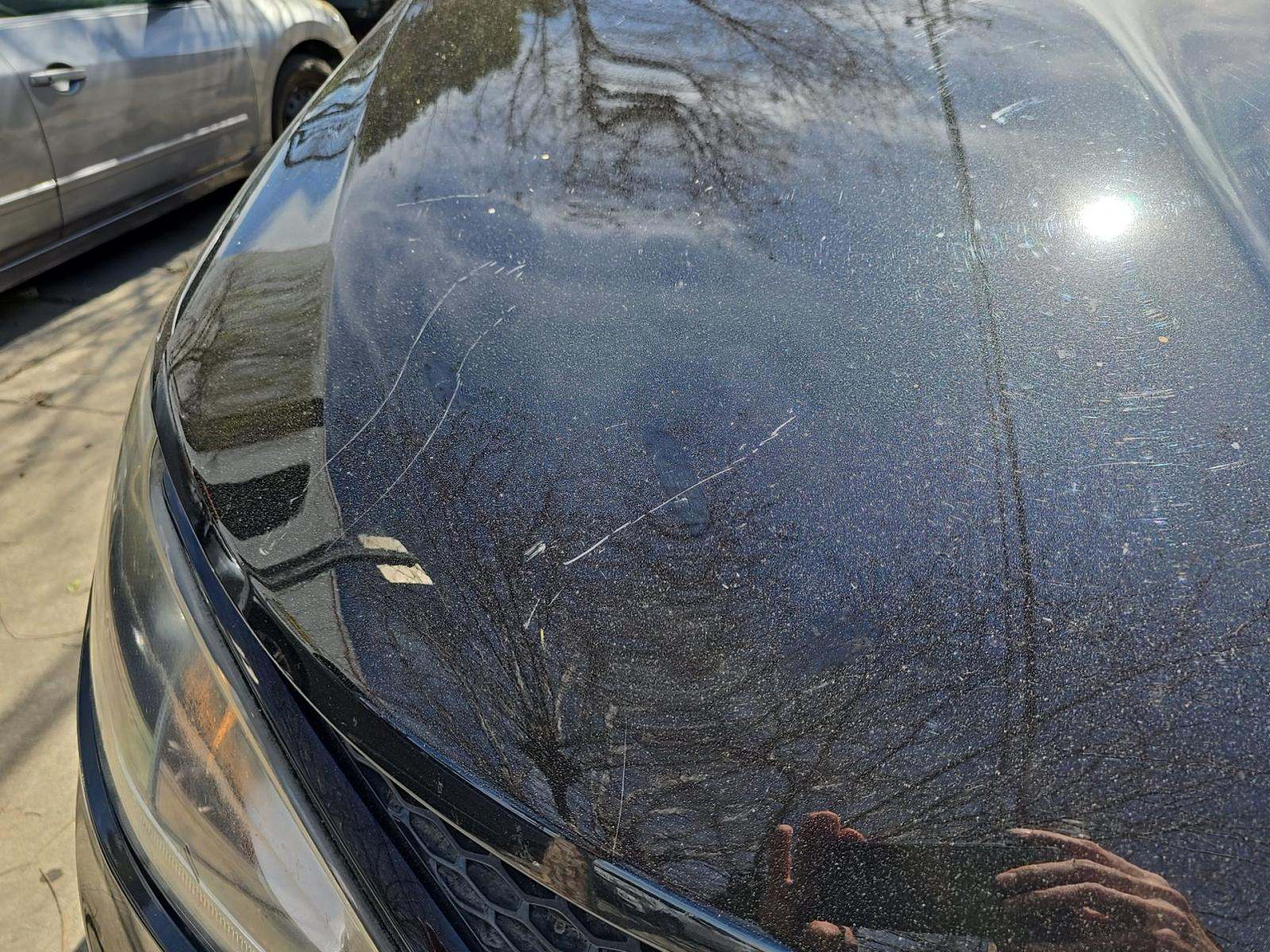 2020 Chrysler Pacifica Touring L Plus FWD