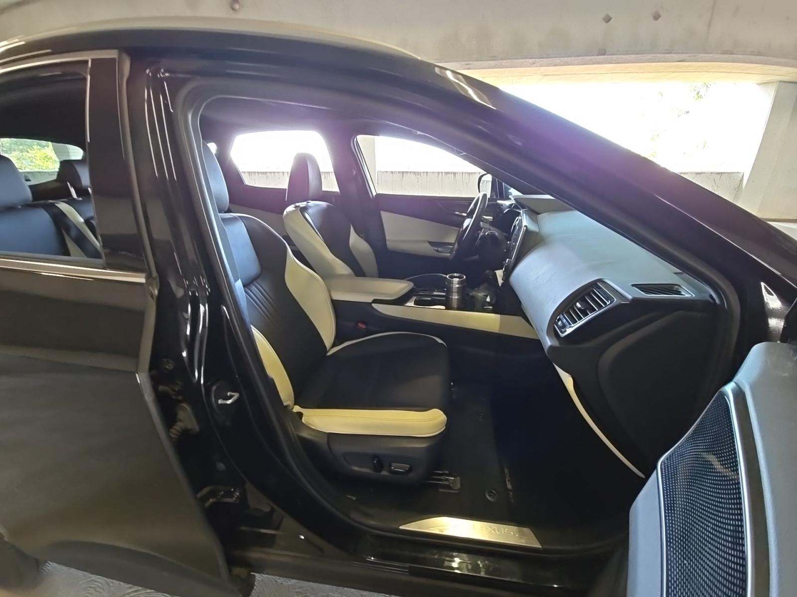 2024 Lexus NX NX 250 FWD