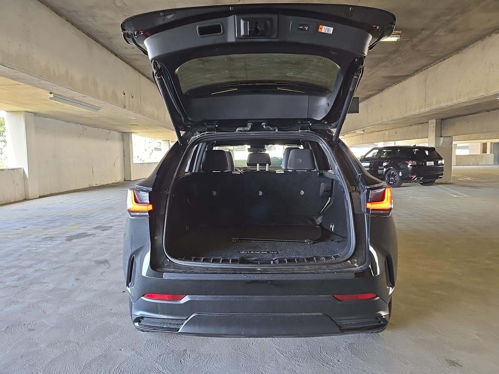 2024 Lexus NX NX 250 FWD