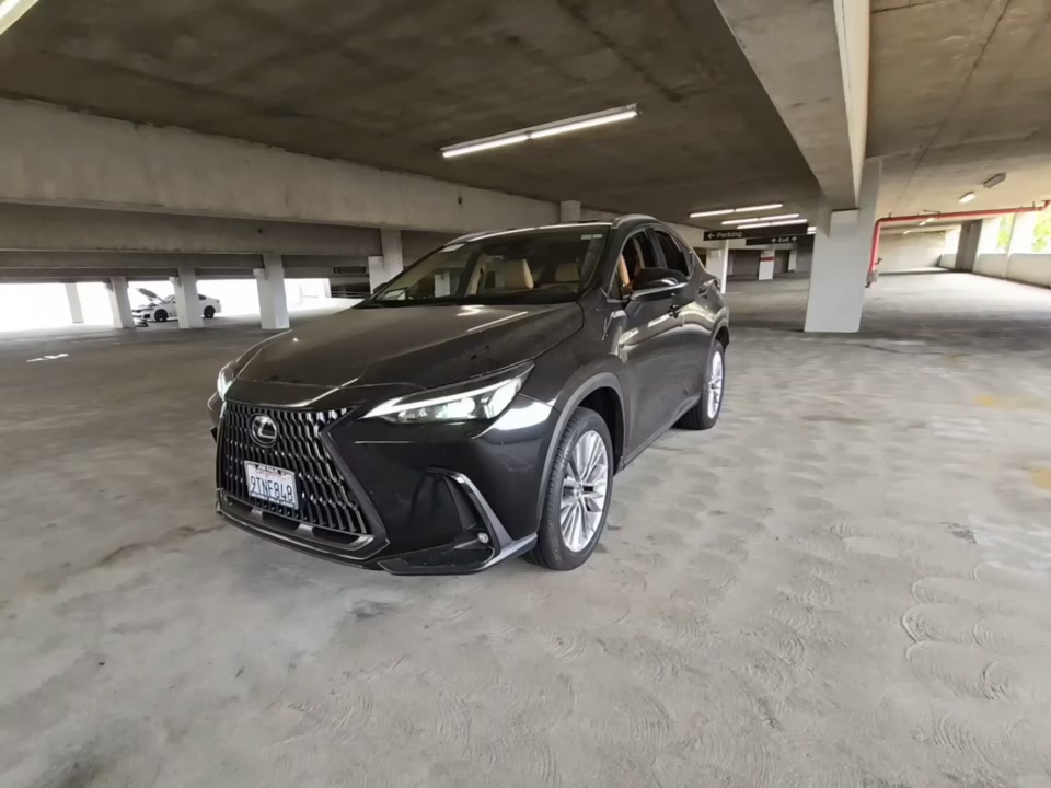 2025 Lexus NX NX 350 Premium AWD