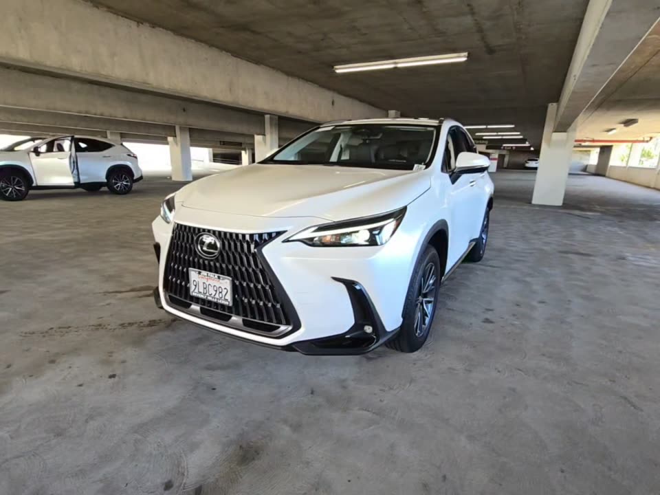 2024 Lexus NX NX 250 FWD