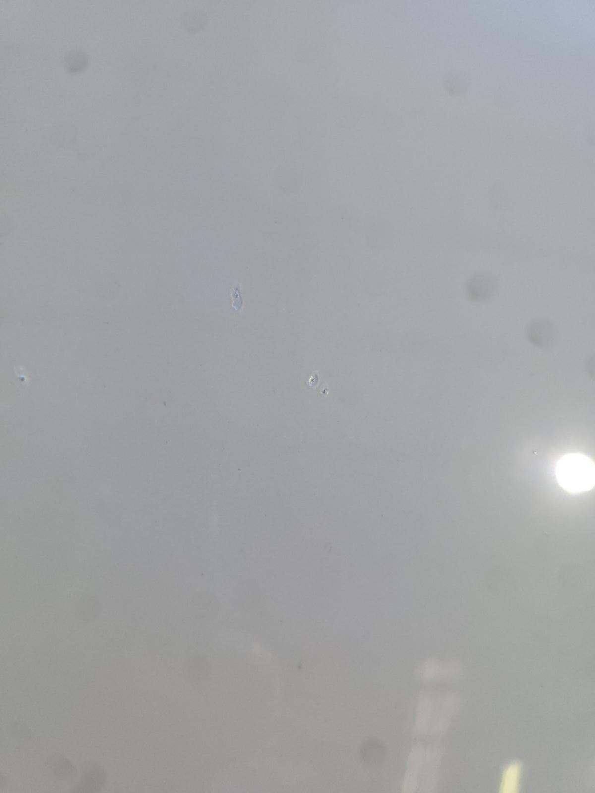 2025 Mercedes-Benz C-Class C 300 AWD