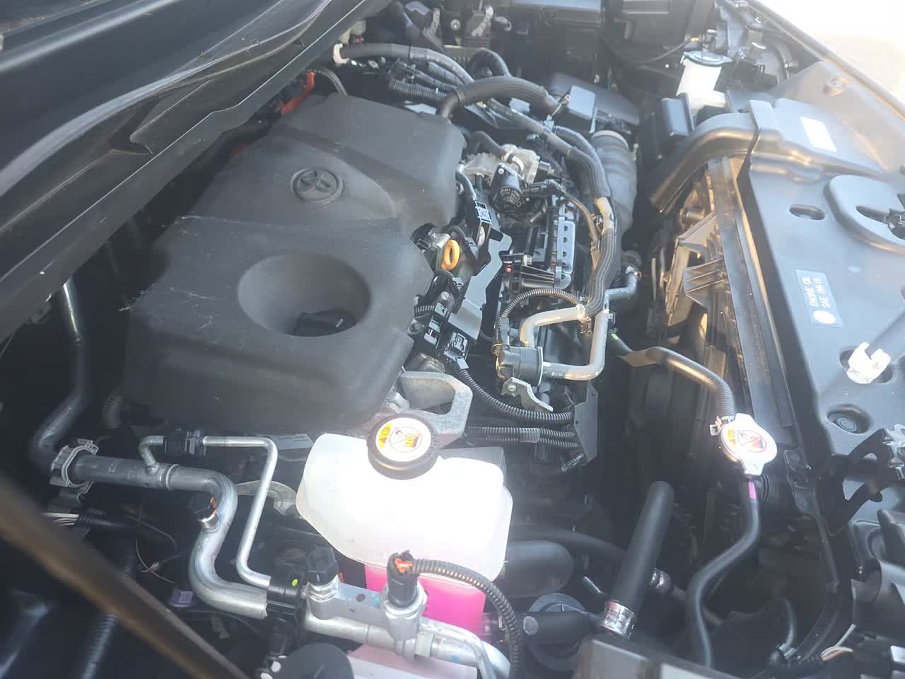 2023 Toyota Sienna XLE FWD