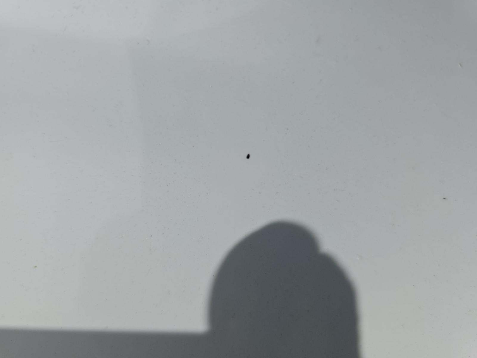 2021 BMW X5 sDrive40i RWD