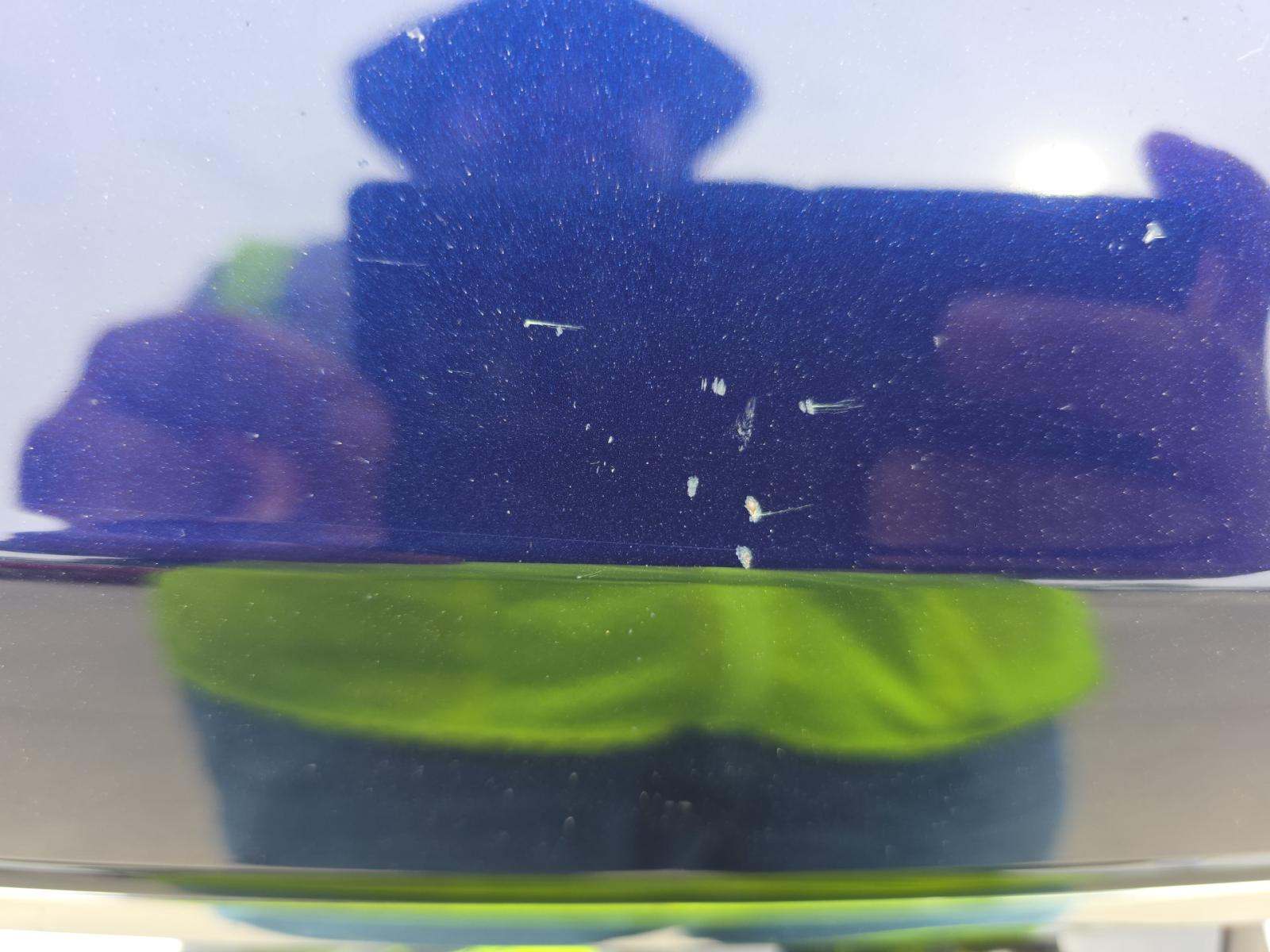 2022 Volkswagen Tiguan 2.0T SE FWD