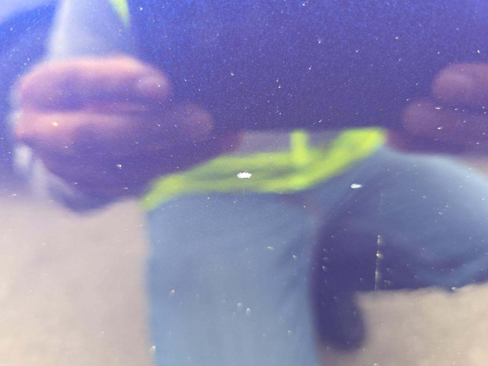 2022 Volkswagen Tiguan 2.0T SE FWD