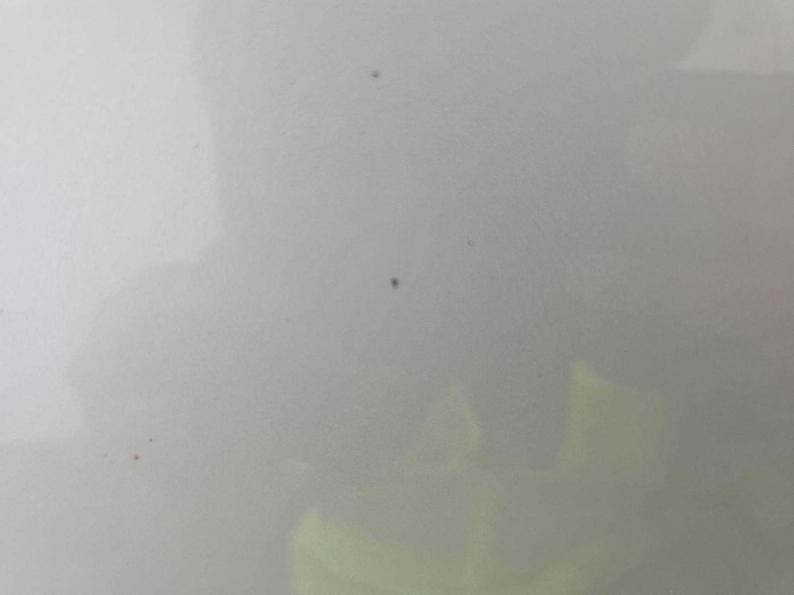 2015 Mercedes-Benz S-Class S 550 RWD