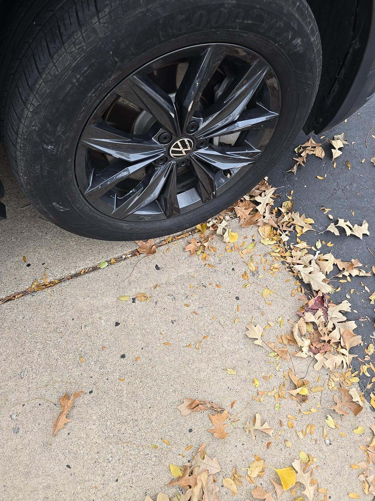 2024 Volkswagen Tiguan 2.0T Wolfsburg Edition AWD