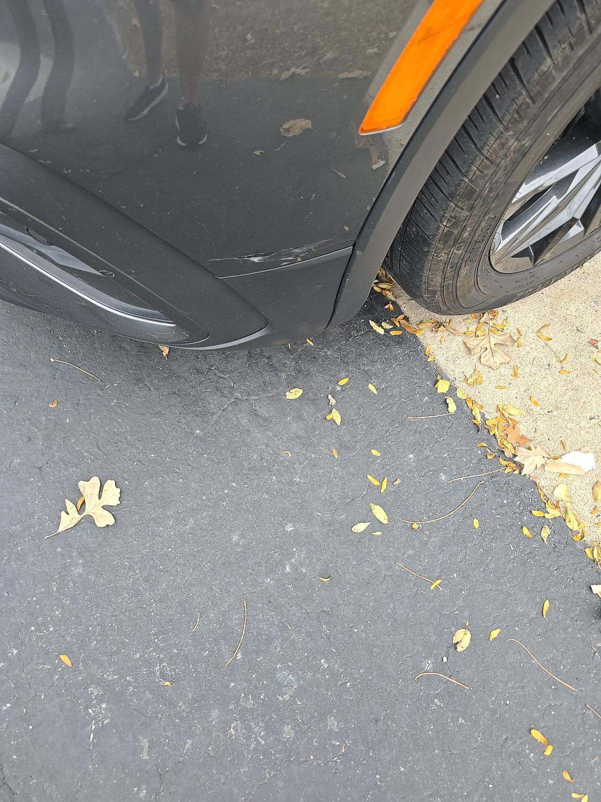 2024 Volkswagen Tiguan 2.0T Wolfsburg Edition AWD