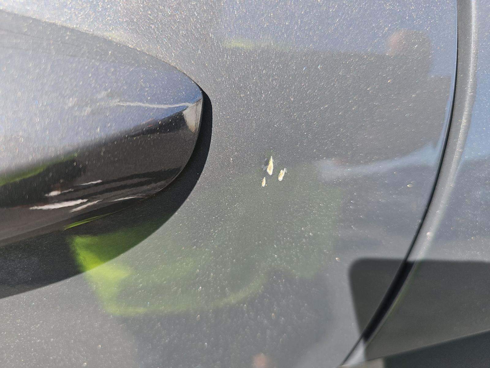 2024 Hyundai Kona SEL FWD