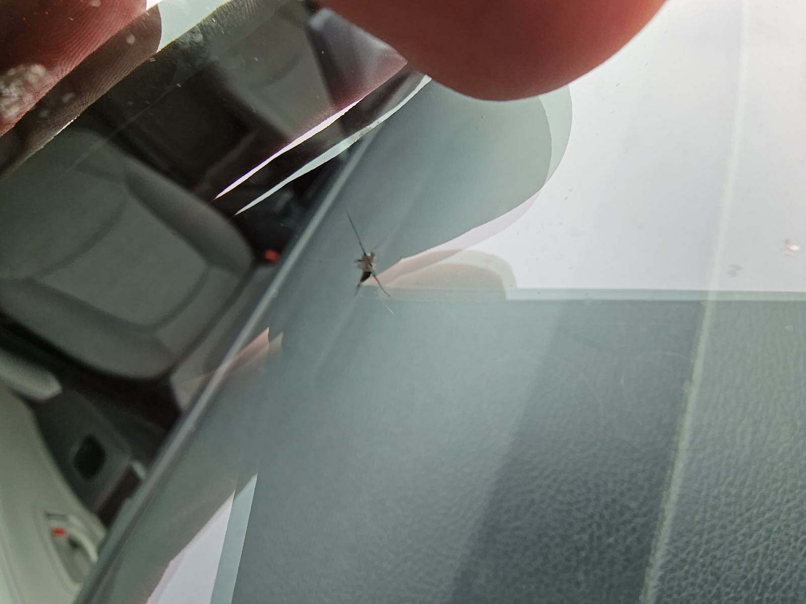 2021 Toyota Sienna LE FWD