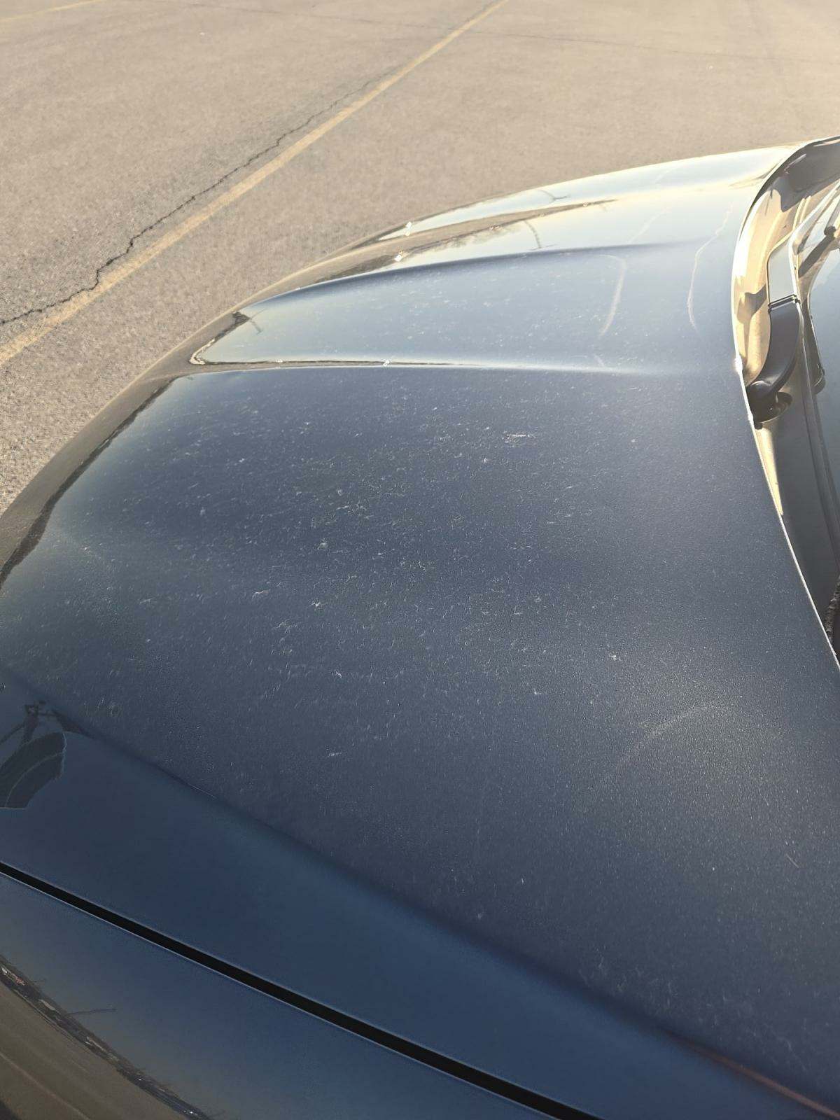 2019 Chrysler Pacifica Touring L Plus FWD